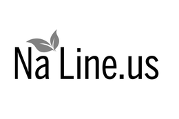 NA LINE.US logo