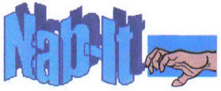 NAB-IT logo