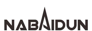 NABAIDUN logo