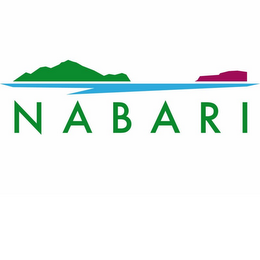 NABARI logo