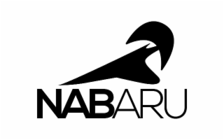 NABARU logo