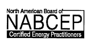 NABCEP NORTH AMERICAN BOARD OF CERTIFIED ENERGY PRACTITIONERS logo