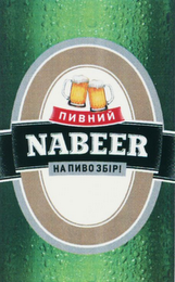 NABEER logo