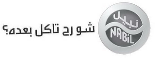 NABIL logo