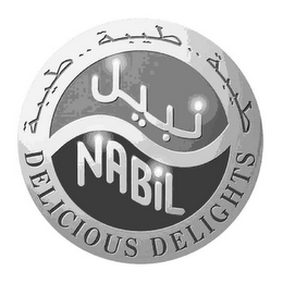 NABIL DELICIOUS DELIGHTS logo