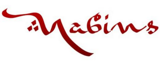 NABINS logo
