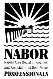 NABOR NAPLES AREA BOARD OF REALTORS ANDASSOCIATION OF REAL ESTATE PROFESSIONALS logo