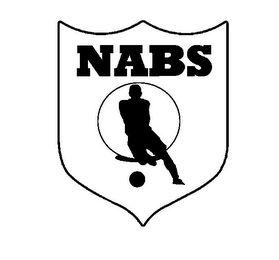 NABS logo