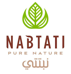 NABTATI PURE NATURE logo