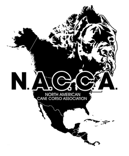N.A.C.C.A. NORTH AMERICAN CANE CORSO ASSOCIATION logo