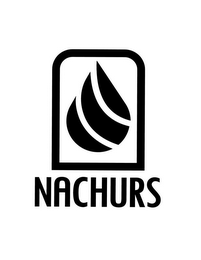 NACHURS logo