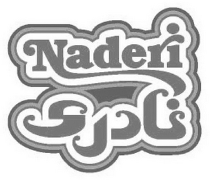 NADERI logo