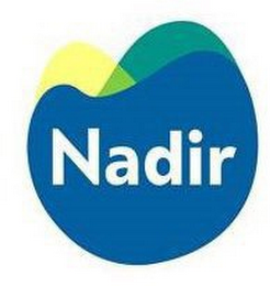 NADIR logo