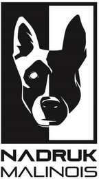 NADRUK MALINOIS logo