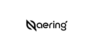 NAERING logo