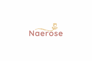 NAEROSE logo