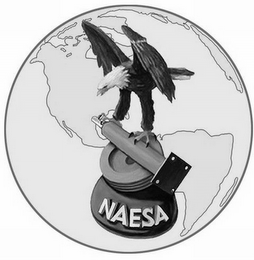 NAESA