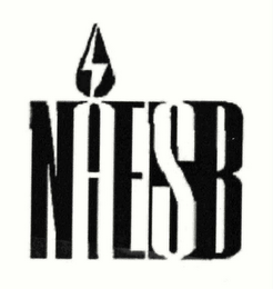 NAESB logo