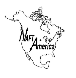 NAFT AMERICA logo