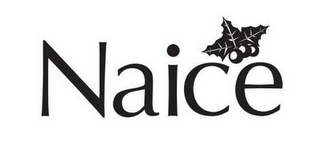 NAICE logo