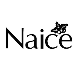 NAICE logo
