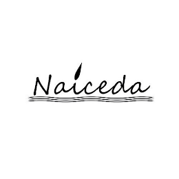 NAICEDA logo