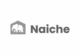 NAICHE logo