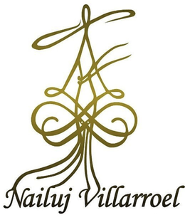 NAILUJ VILLARROEL logo