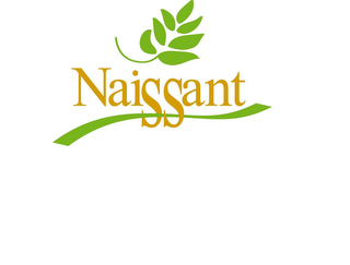 NAISSANT logo