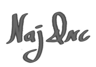 NAJ INC logo