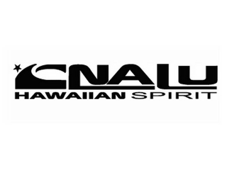 NALU HAWAIIAN SPIRIT logo