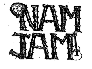 NAM JAM logo