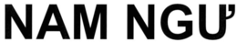 NAM NGU logo