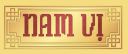 NAM Vİ logo