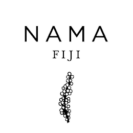 NAMA FIJI logo