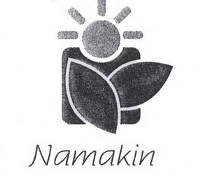 NAMAKIN logo