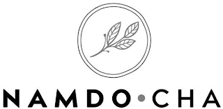 NAMDO CHA logo