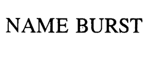 NAME BURST logo