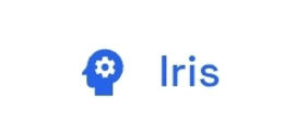 NAME OF THE AI AGENT AND THE LOGO.  FONT IS ARIAL. logo