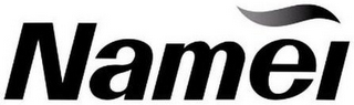 NAMEI logo