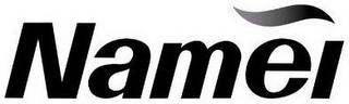 NAMEI logo