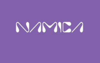 NAMICA logo