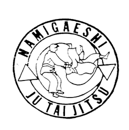 NAMIGAESHI JU TAI JITSU logo