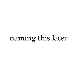 NAMING THIS LATER logo