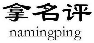 NAMINGPING logo