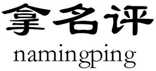 NAMINGPING logo