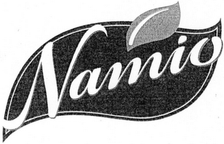 NAMIO logo
