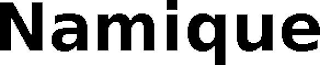 NAMIQUE logo