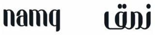 NAMQ logo