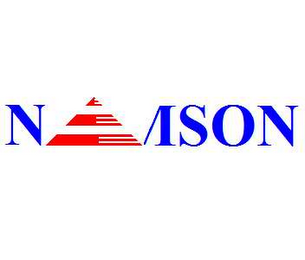 NAMSON logo